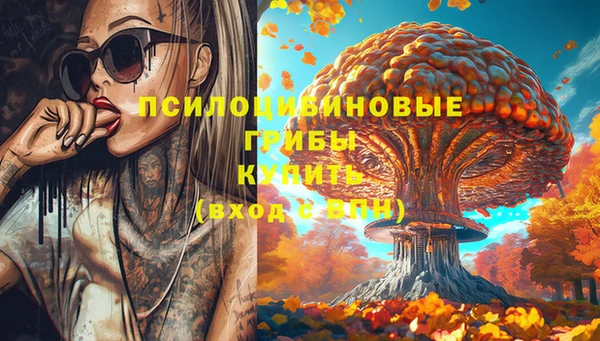 ALPHA-PVP Туринск