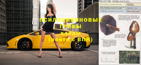 Альфа ПВП Тутаев