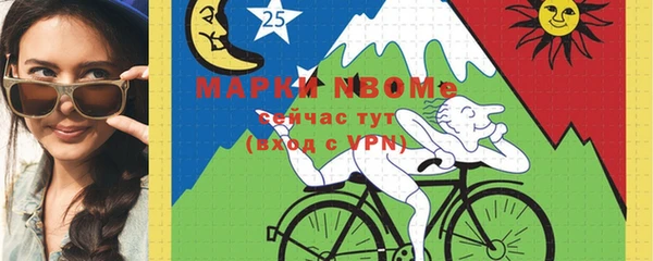 бошки Тында