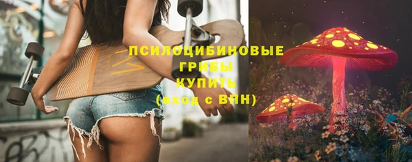 бошки Тында