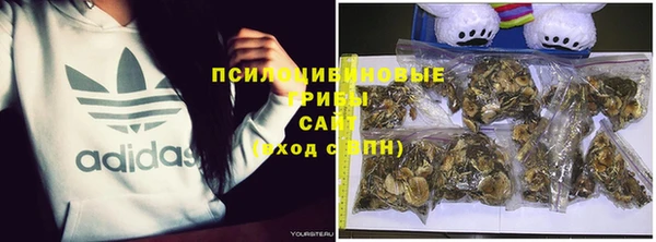 бошки Тында