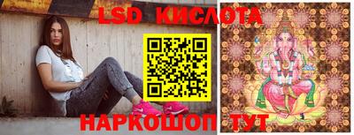 прущие грибы Балашиха