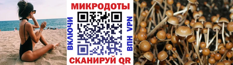 Галлюциногенные грибы мицелий  купить наркотики сайты  Ульяновск 