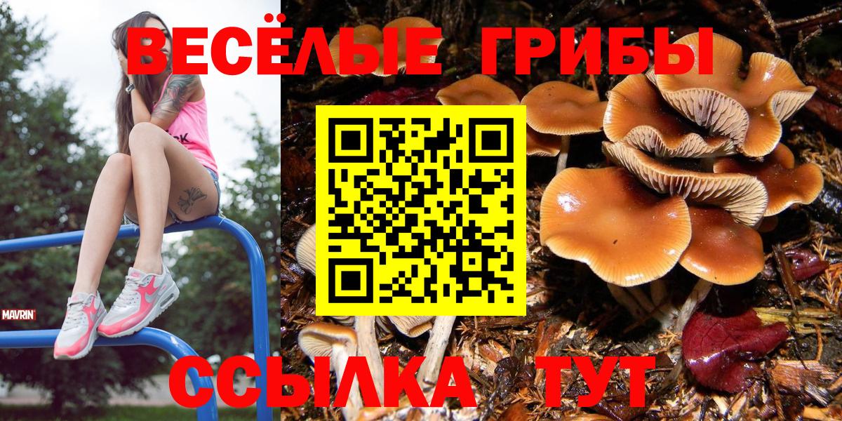 Псилоцибиновые грибы GOLDEN TEACHER Ульяновск