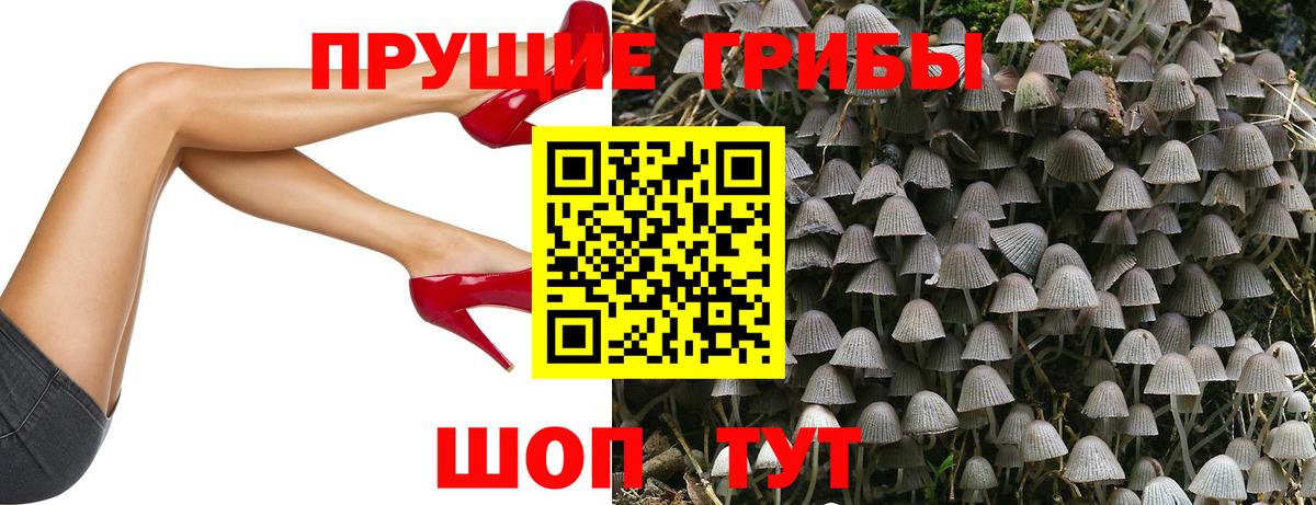 Галлюциногенные грибы мицелий  Галлюциногенные грибы MAGIC MUSHROOMS  Ульяновск 