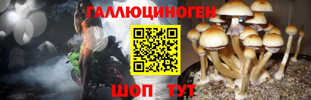 Ульяновск  Галлюциногенные грибы GOLDEN TEACHER  Вход с VPN 
